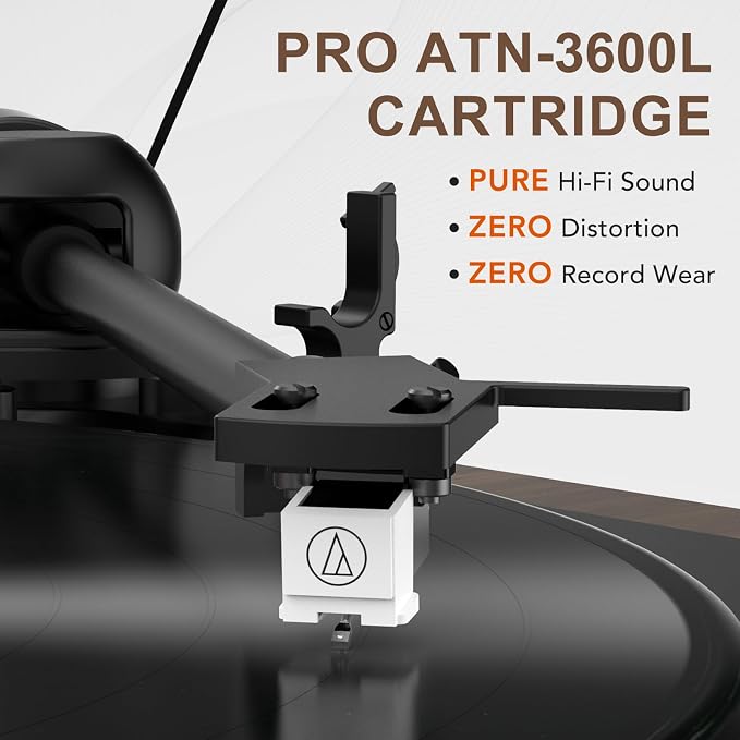 Tocadiscos Seasonlife HQ-KZ010 marrón con Bluetooth miniatura 2