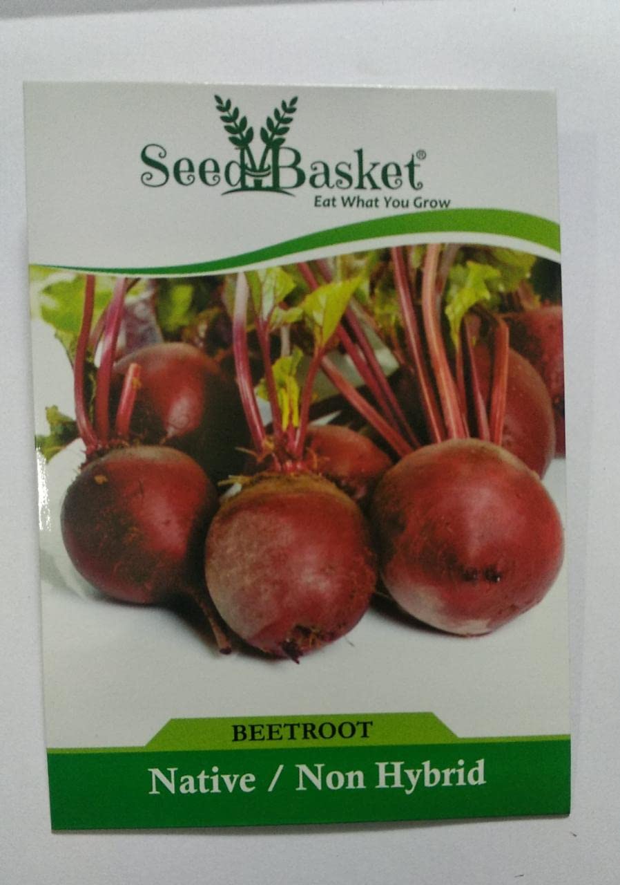 Seed Basket Native/Non-GMO Beetroot Seeds for Home Gardening (100 Seeds with More than 70% Germination) And Instruction Manual (B09M3S4QQX) Amazon Price History, Amazon Price Tracker