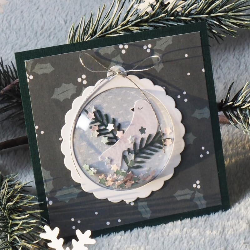 Dômes En Verre Ou En Plastique Transparent De Différentes Formes