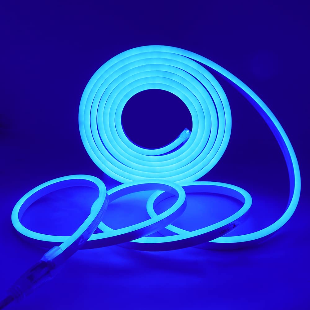 Striscia LED Neon 2835 Tubo LED Flessibile Impermeabile Luminosa 220V IP65 120 LED/M Corda Stringa Lampada con Alimentatore di rete e Dimmerazione manuale Controller,per Camera da Letto (8m, Blu)