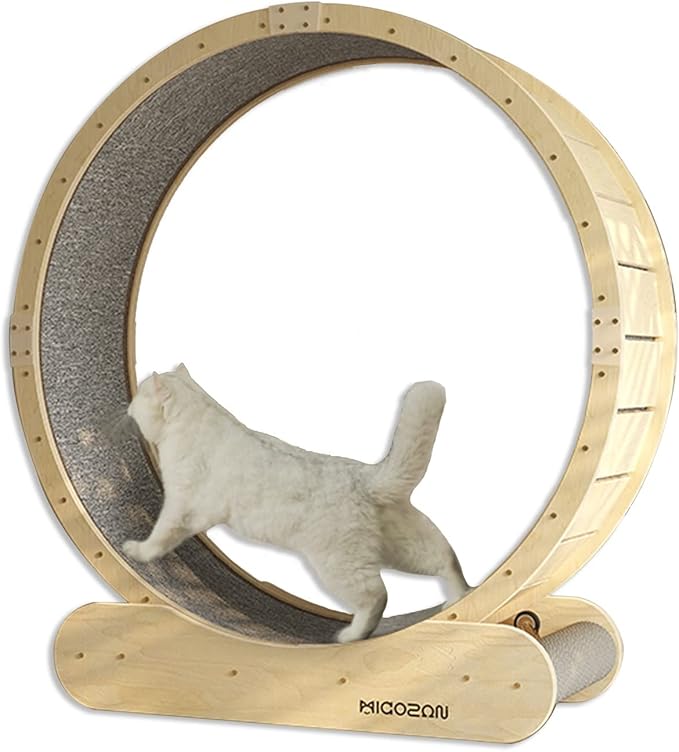 Premium Cat Exercise Wheel No Pinch, Cat Treadmill with Replaceable Runway, Indoor