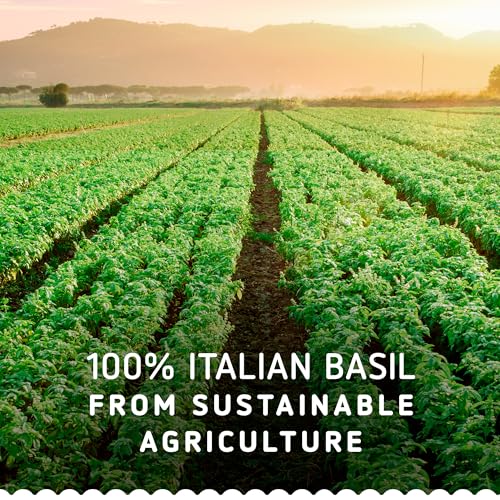 Sauce Pesto Basilic Et Piment Barilla Le Pot De - vue 5