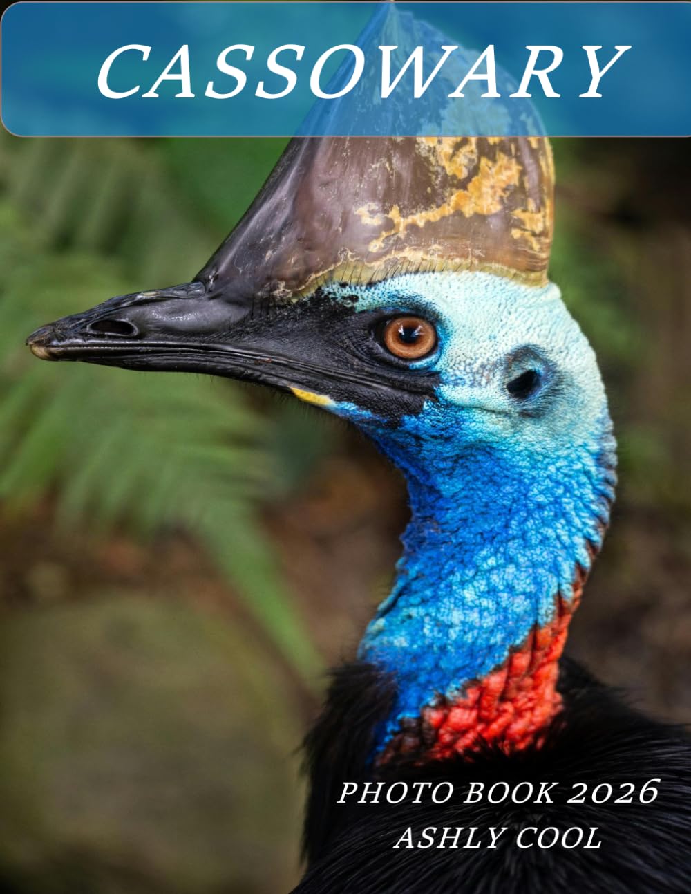 Cassowary: Cool Pictures That Create An Idea For You About - Perfect Gift for tourism & travel lovers.....Relaxing & Meditation.