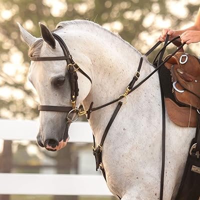 Victor Supreme Bob Hart Adjustable Arabian Training Martingale | Optimum Fit | Easily Convertible | Stable Training Aid | Dark Oil Finish