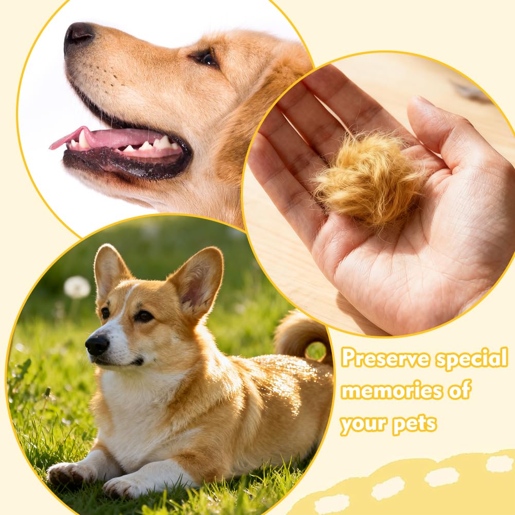 Portachiavi Ricordo Peli di Cane - Figurina 3D Cane Trasparente, Capsula Conservazione Peli Animale, Regalo Creativo per Amatori di Cani Gatti, Ricordo Perdita Animale Domestico