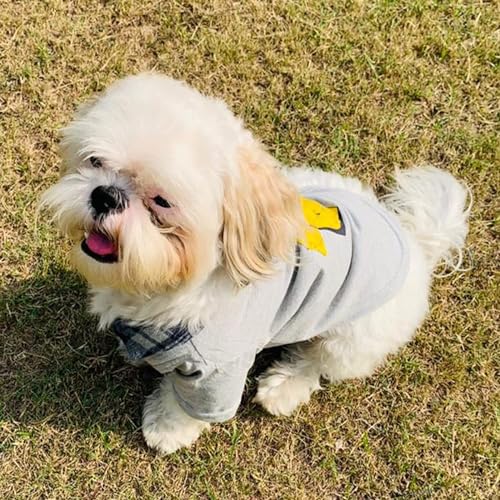 Image of Lulala Dog Shirts Clothes with Tie Print, Soft and Breathable Pet Apparel Outfits for Small Medium Large Dog Clothes Cozy Casual Fashion Costume (Grey,14Inch)