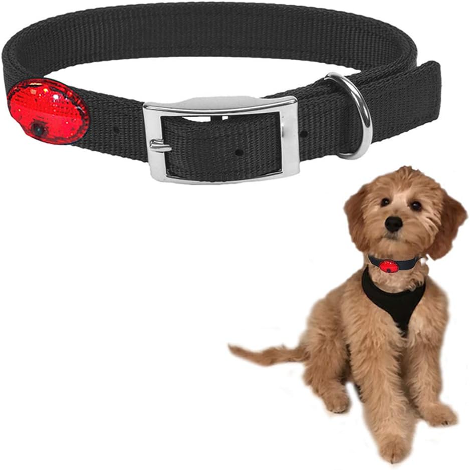 dog collar safety strap