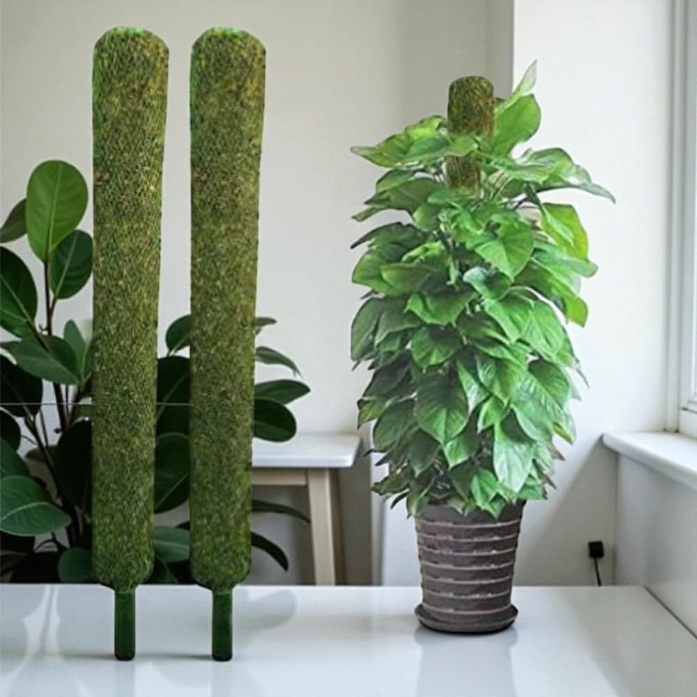 Bhajanlal Greenery 2ft Coco Pole Stick Set of 2 – Green Grass Poles for Plant Support, Perfect for Money Plants & Climbing Indoor Plants