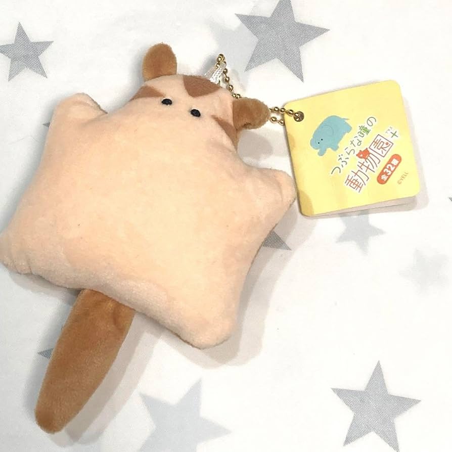 Amazon.co.jp: つぶらな瞳の動物園+ ?ふくろももんが モモンガ