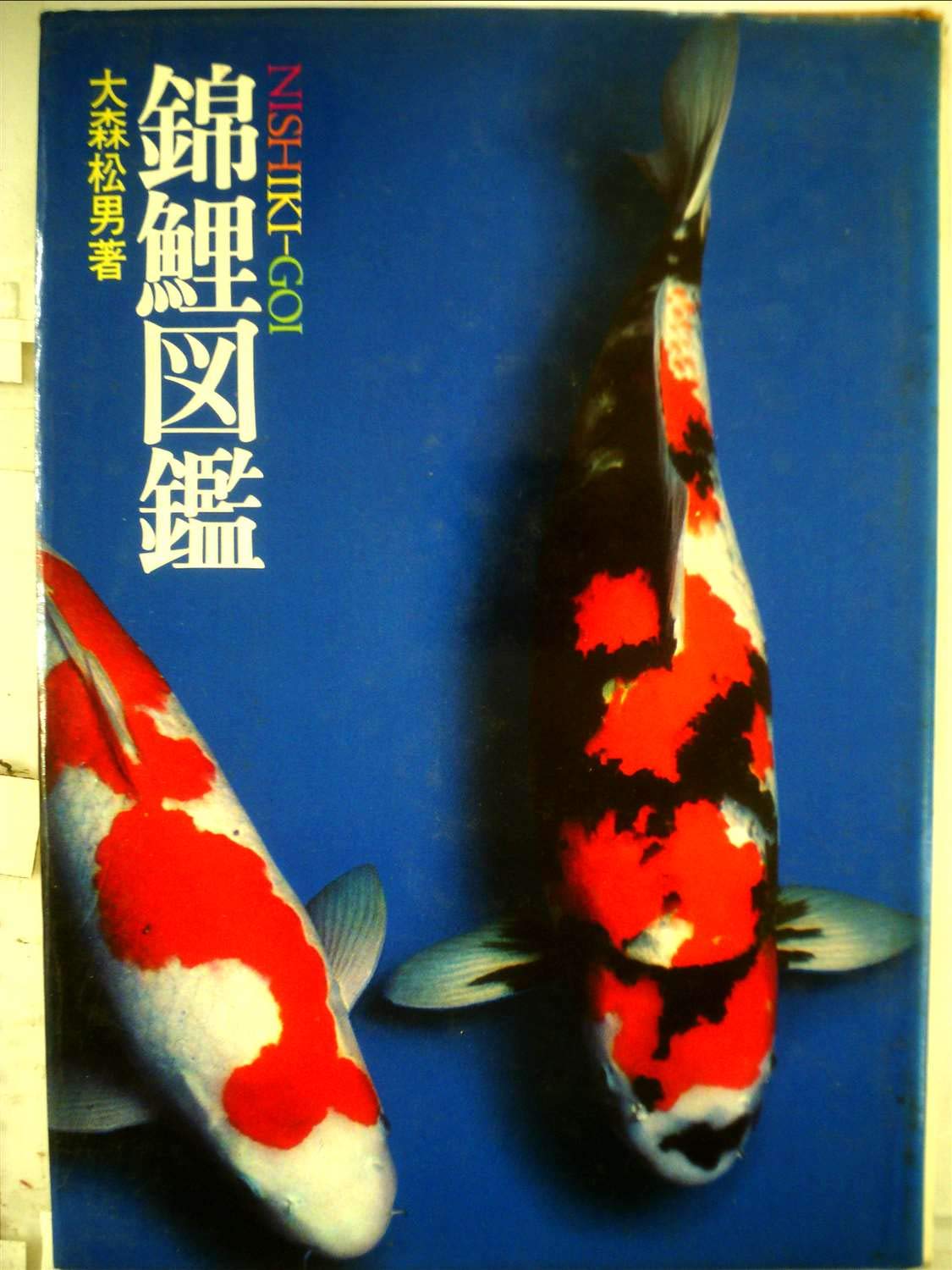 錦鯉 61LHyOxQFRL.jpg