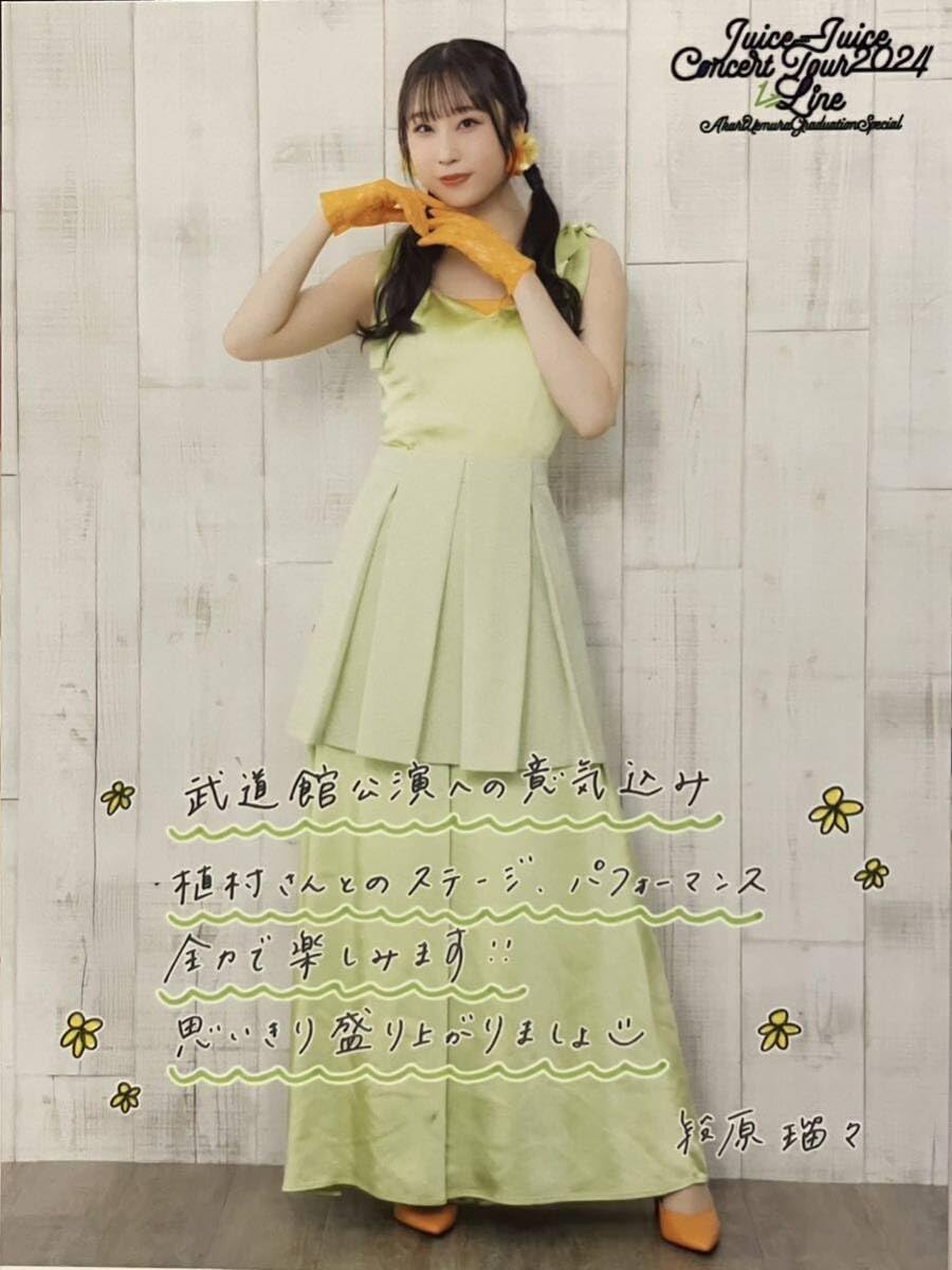 Amazon.co.jp: 13 段原瑠々 Juice=Juice Concert Tour 2024 1=LINE