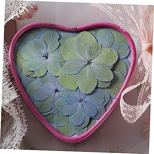30 flores secas prensadas para manualidades DIY miniatura 5