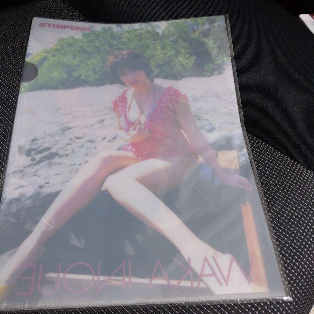 Amazon.co.jp: ビッグコミックスピリッツ井上和香クリアファイル