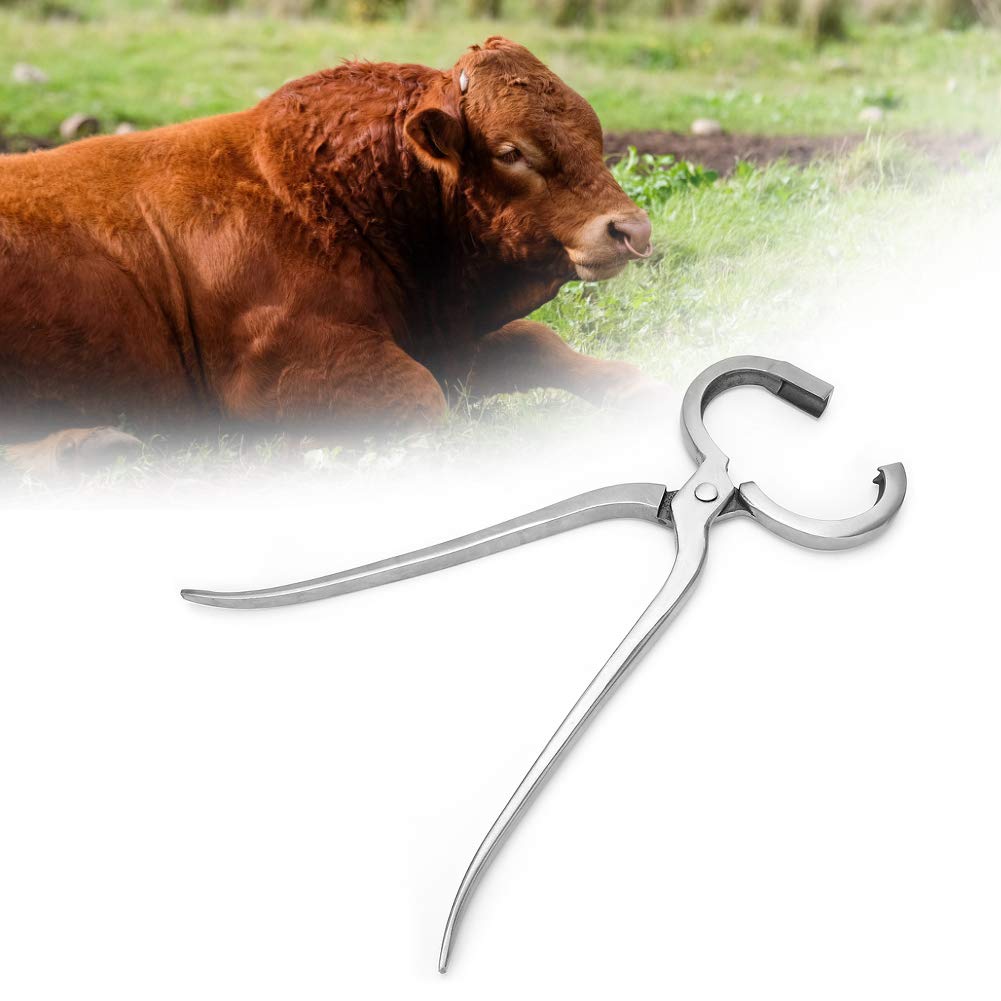 Alicate para nariz de ganado, herramienta metálica de instalación de anillos nasales para ganado con mecanismo de palanca, mango ergonómico para un manejo fácil de bovinos y vacas,