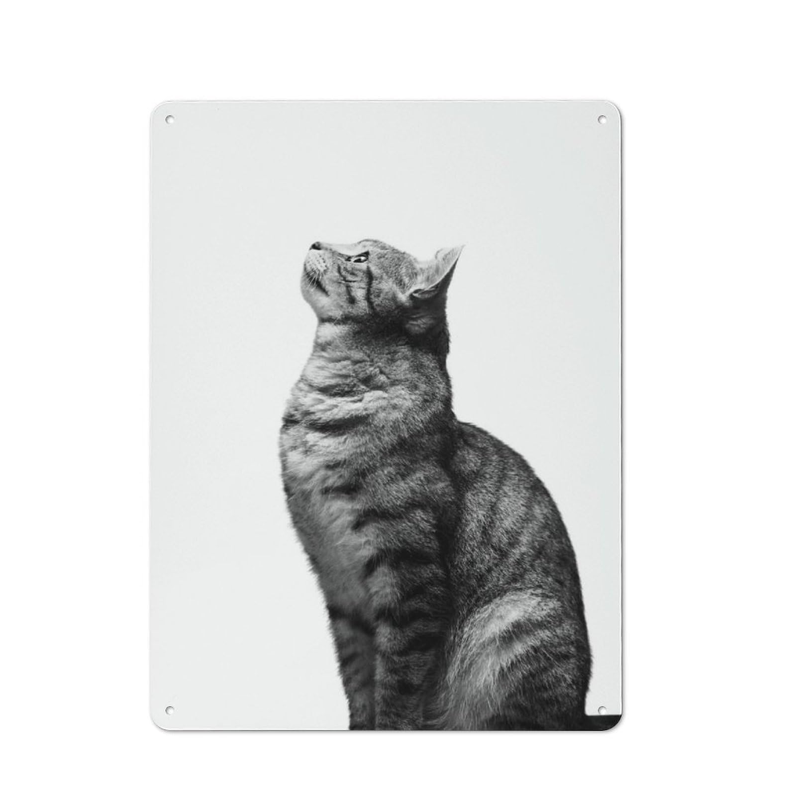 Decorative Tin Plaque with Cat Portrait Design 40x30cm, Classic Novelty Wall Art for Flat, Dorm Room, Lounge Or Cafe