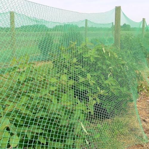 Bird Netting for Garden & Farms- Heavy Duty Mesh, Green, 10Ft X 15Ft