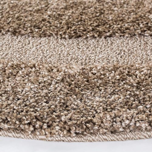Image of Modern Shaggy Round Rug | Ultra-Soft Plush Circle Carpet for Living Room, Bedroom, Nursery | Fuzzy, Fluffy Area Rug with Non-Slip Base (Rect Mouse, 3x3 feet, Round)