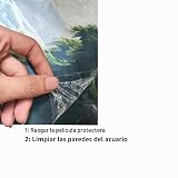 Ver la foto 6