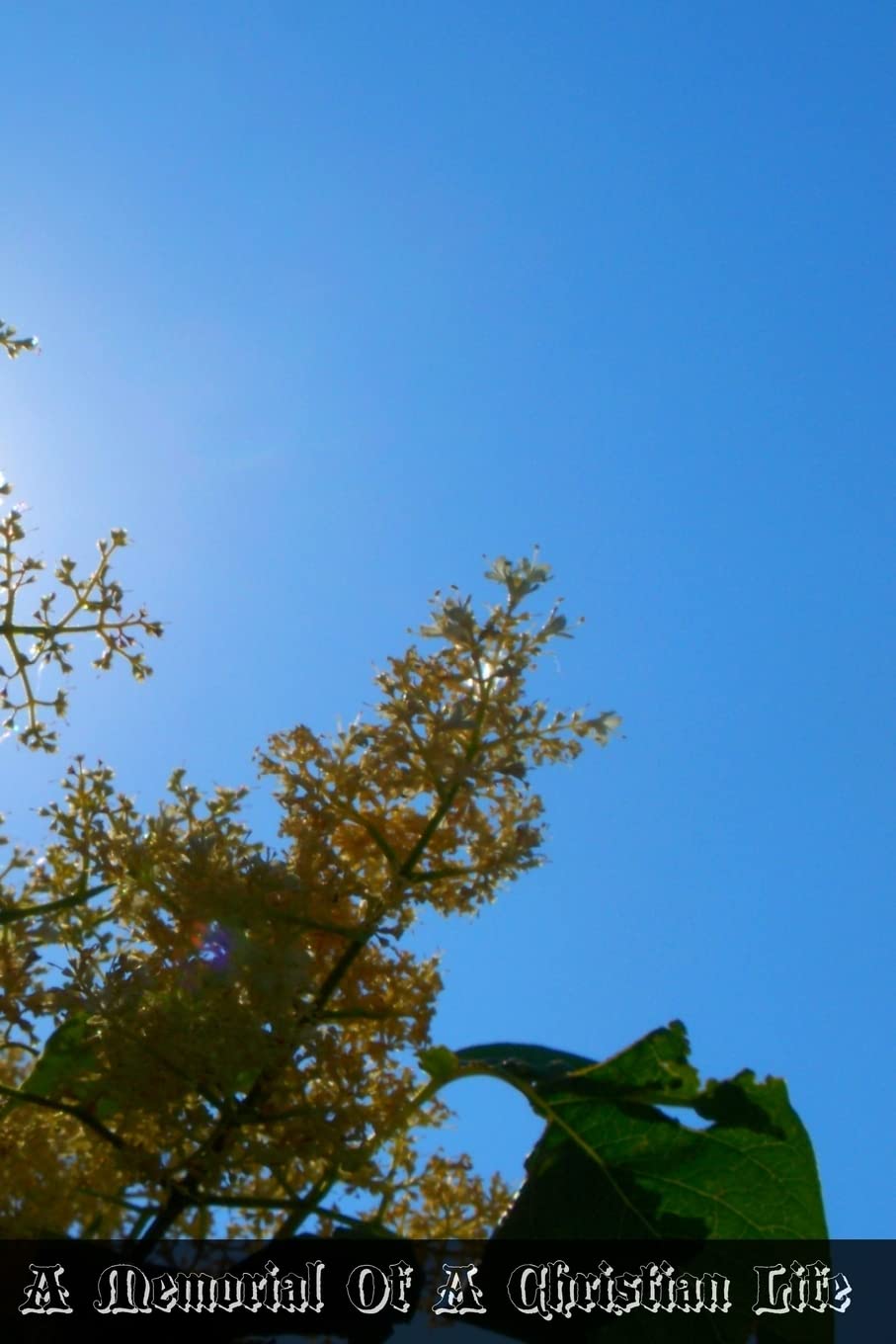 A Memorial Of A Christian Life: Containing All That A Soul Newly Converted To God Ought To Do, That It May Attain The Perfection To Which It Ought To Aspire