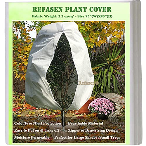 How To Protect Plants From Frost? 11 Things You Must Be Doing