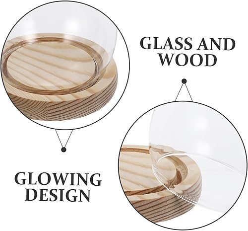 Miniatura 4 de Healifty Campana de cúpula de cristal transparente con base de madera ligera, recuerdo de terrario, exhibición de flores preservadas, contenedor de