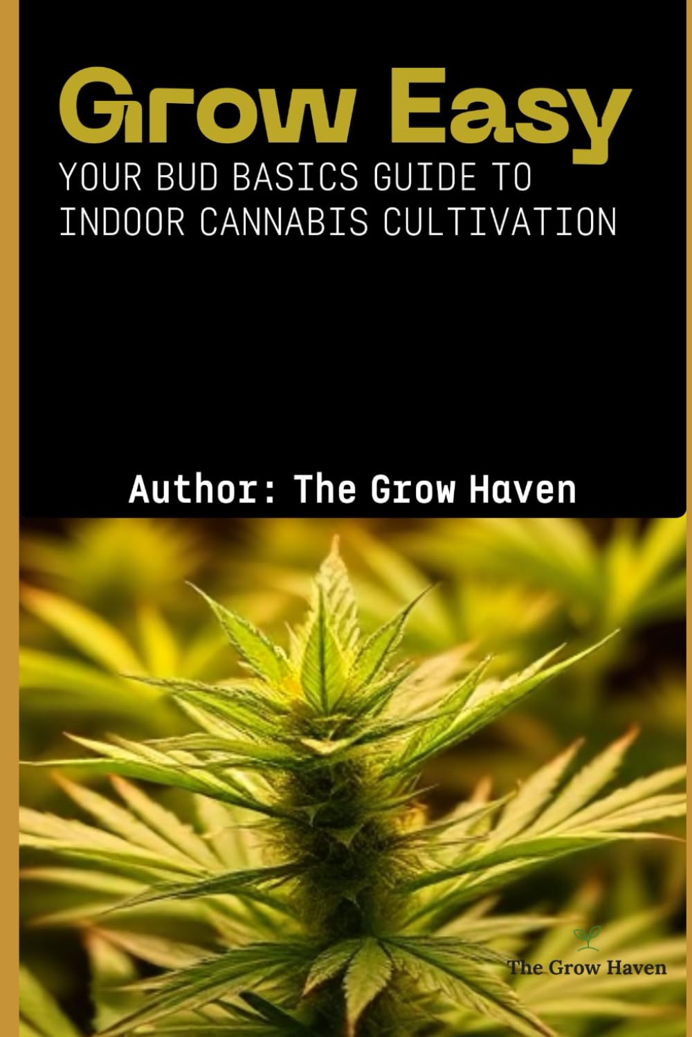 Grow Easy: Your Bud Basics Guide to Indoor Cannabis Cultivation