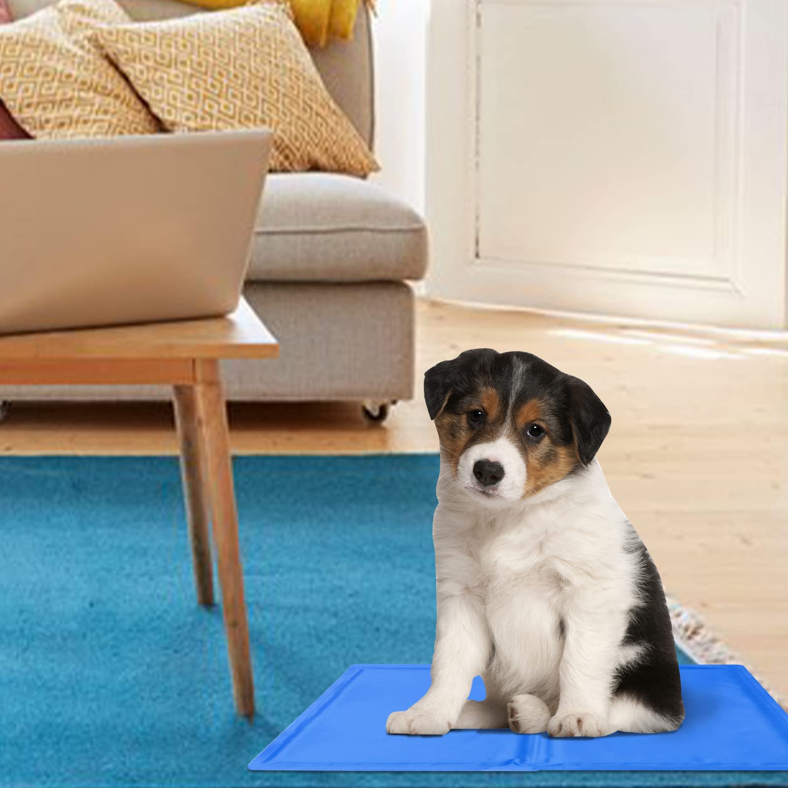 CoolPets Cooling Mat - Zelfkoelende Hondenmat in 4 Maten