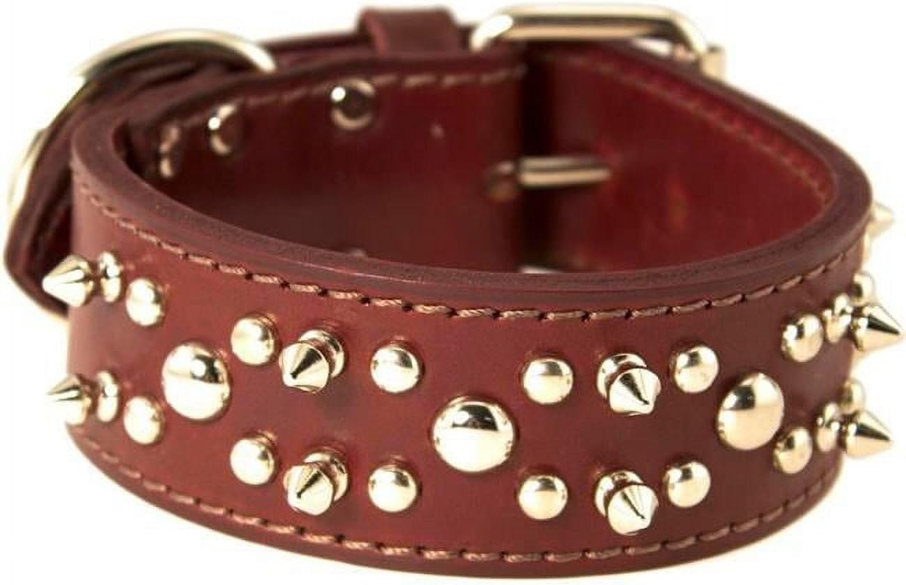 212 Main 1.75 x 28 in. Latigo Spike & Stud Dog Collar Burgundy