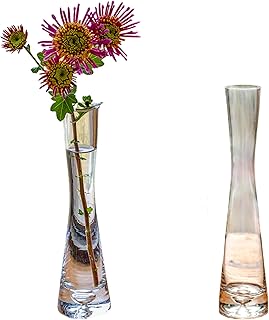 JUHAN 高さ25cm クリア一輪挿し花瓶 水平 シンプル 北欧風 ガーデニング インダストリアル フラワーポット ガラス 透明 クリア花瓶 一輪挿しガラス (タイプC)