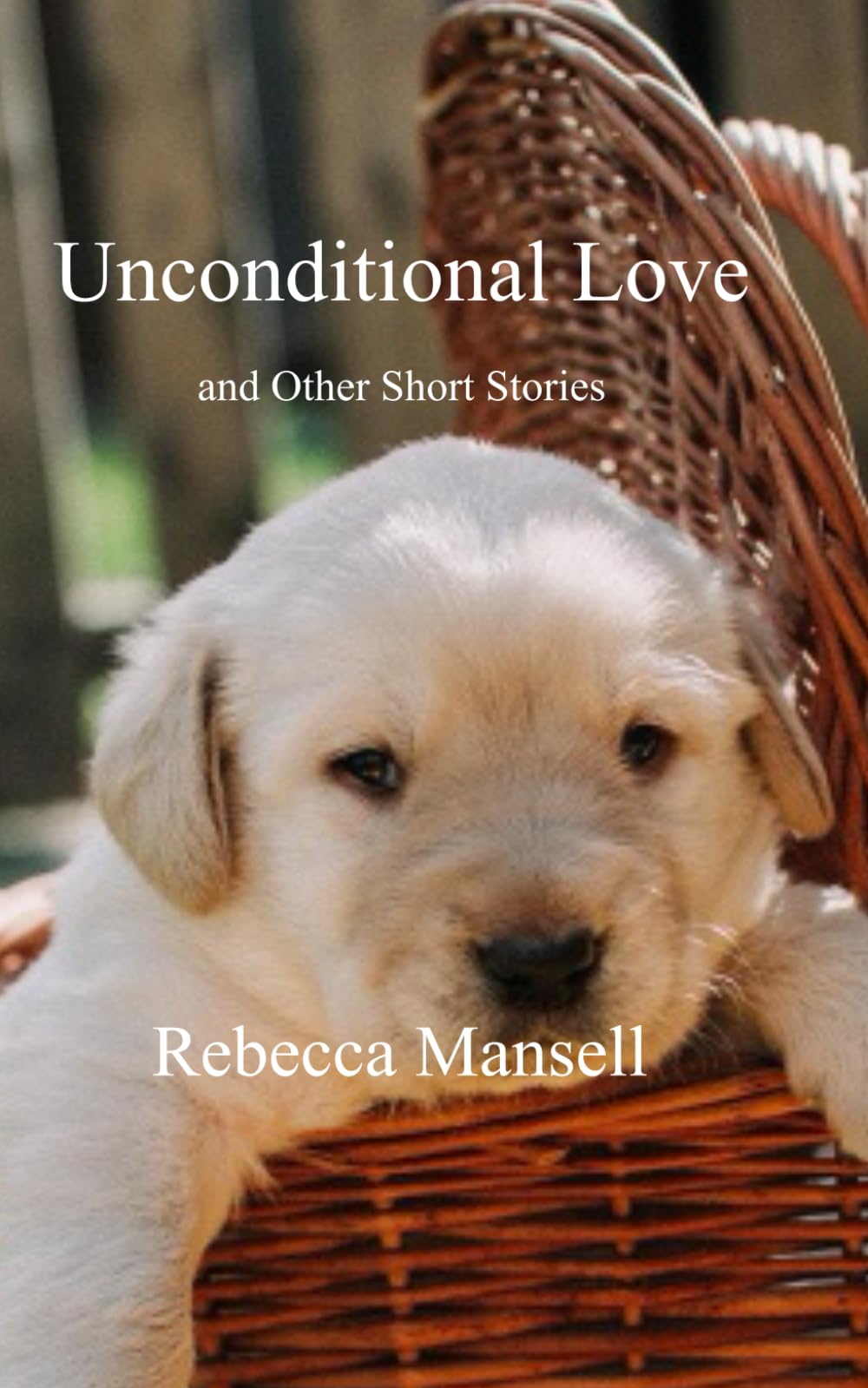 Unconditional love: and Other Short Stories: 35 (Anthologies of poetry and short stories)