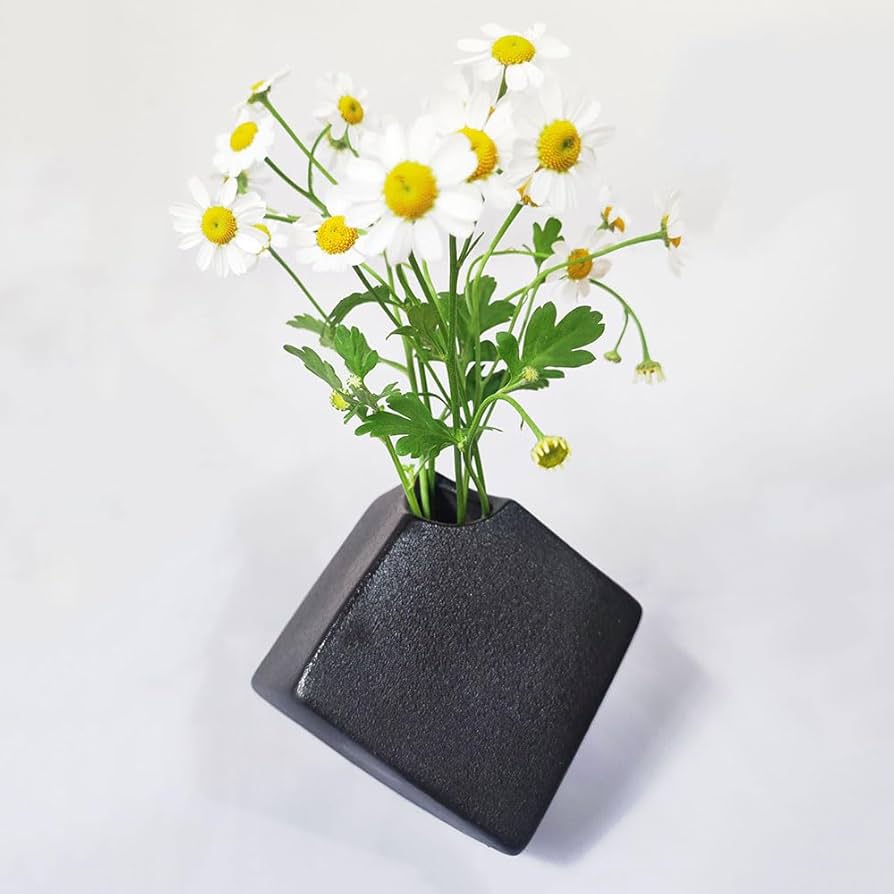 小学生が作った花瓶 Amazon.co.jp: 子供に最初のMyかびんを! ! 一花一葉 hanaikuか