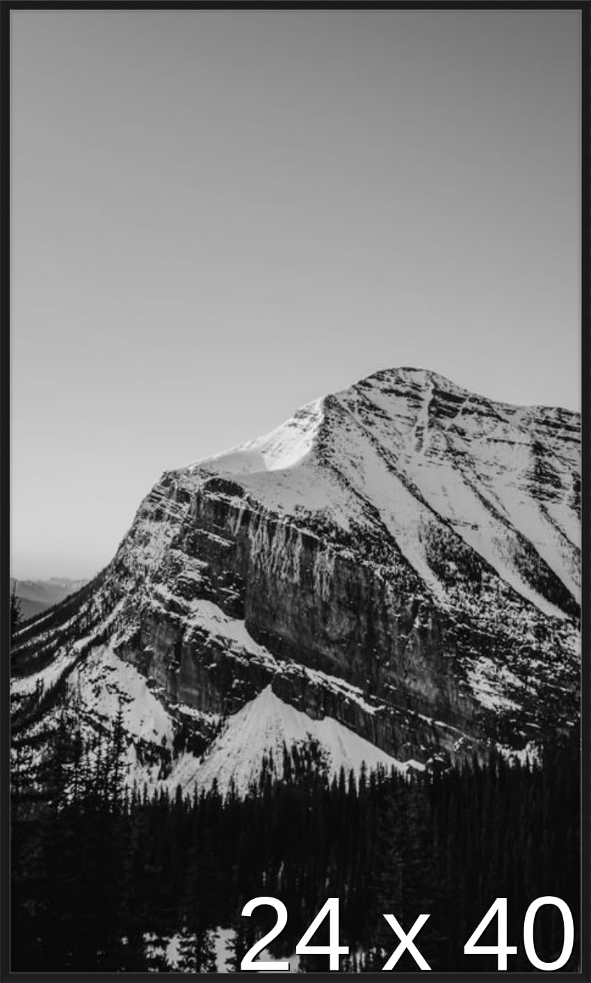 Frame It Easy 24 x 40 Satin Black Metal Frame (Ashford)