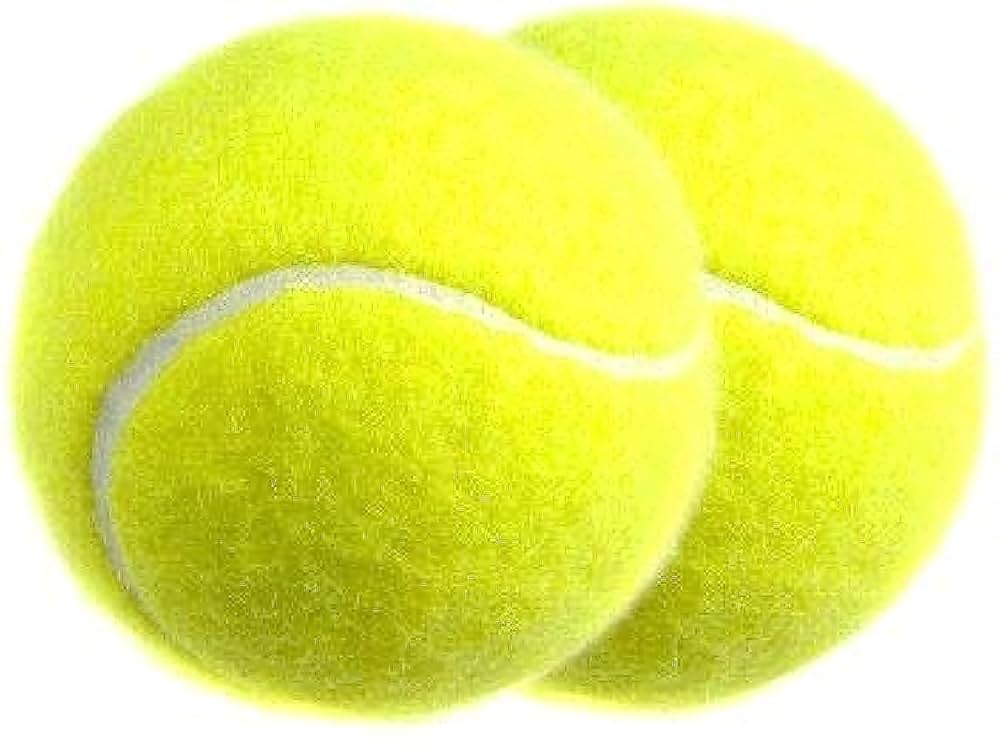 Amazon.co.jp: テニスボール(2個)。 : Sports & Outdoors
