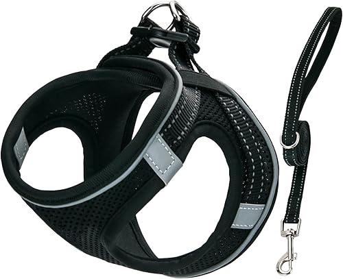 Juego de arnés y correa para perro, arnés de chaleco para mascotas de raza pequeña con acolchado suave de malla de aire, hebillas ajustables, anillo