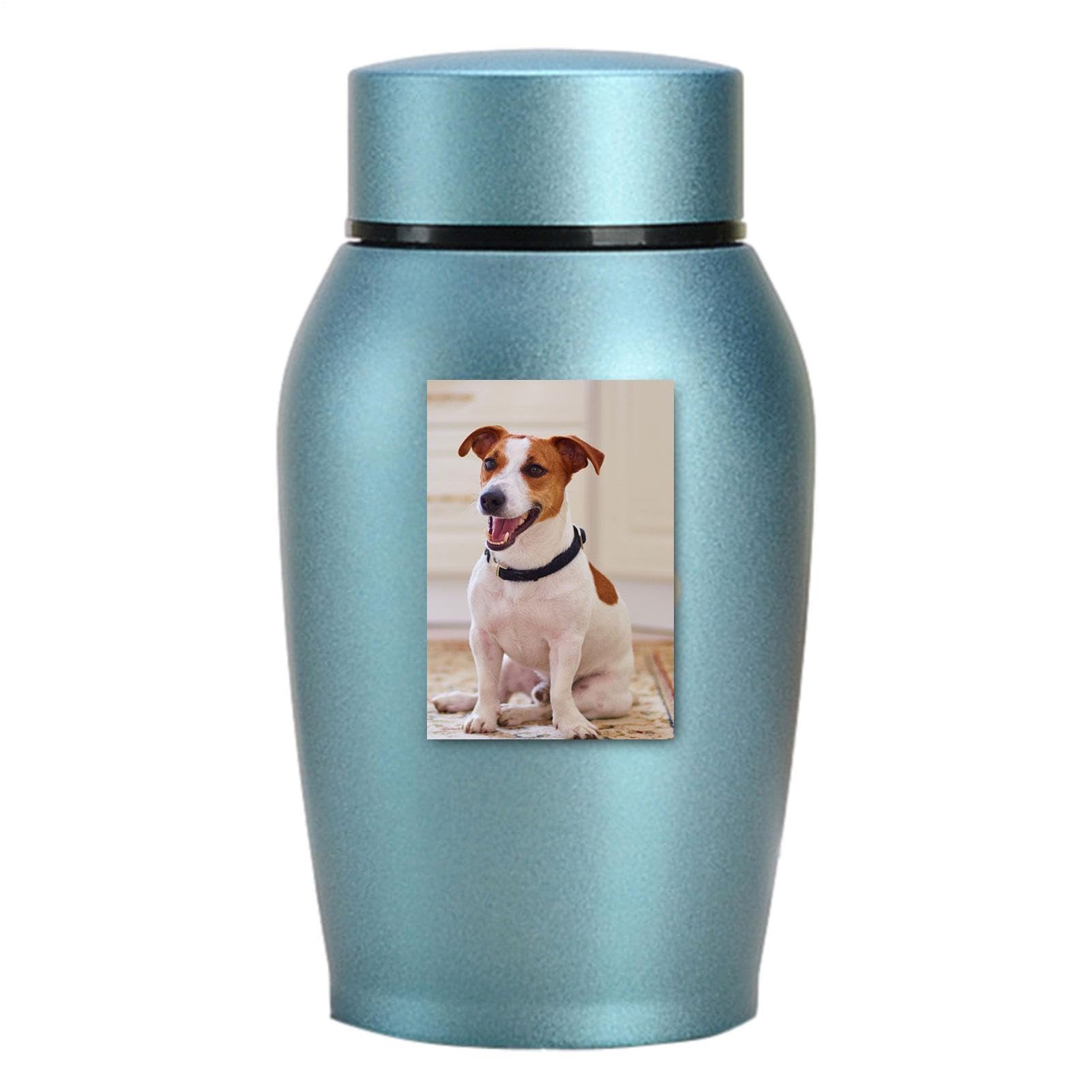 Urn for Pet Ashes and Human Ashes - Compact Stainless Steel Memorial Box for Cremation Dogs Cats Loved People Sealed Container | Storage Box Leg