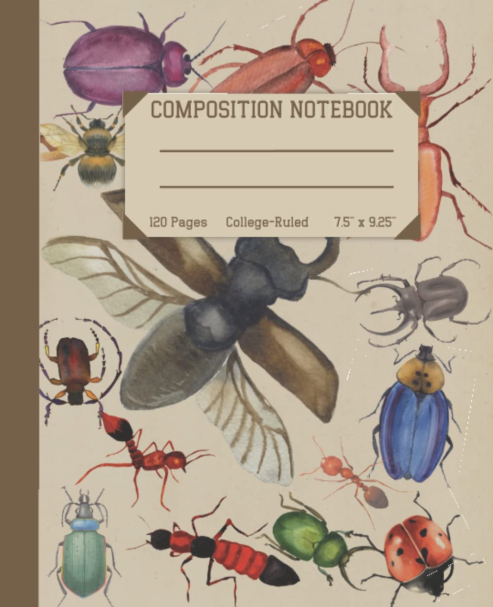 Composition Notebook: Beautiful Vintage Beetle Illustration. Vintage Journal Notebook College Ruled Notebook, 120 Pages, 7.5" x 9.25" In