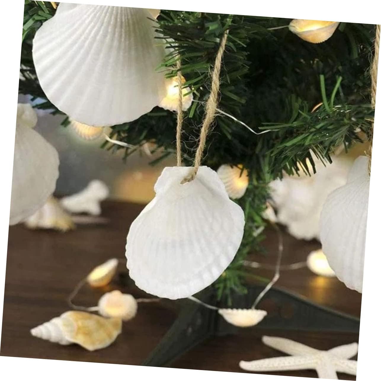 10Pcs Natural Seafood Serving Plates for BBQ Seashell Dish for DIY Craft and Festive Gatherings