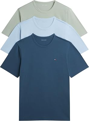 Tommy Hilfiger 3p SS Tee Um0um03870 T-Shirt S/S Homme (Lot de 1)