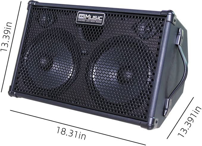 Coolmusic BP60D 120W Battery Powered Acoustic Guitar