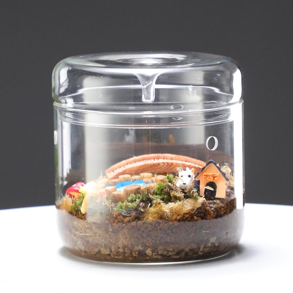 Mikro-Landschaftsglasterrarium mit Tausammeldeckel, Bonsai-Vase Aus Glas, Mikroskopische Landschaft, Ökologische Flasche L