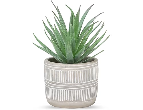 Top Rated Best Fake Succulents in Pot [Reviews, Ratings]