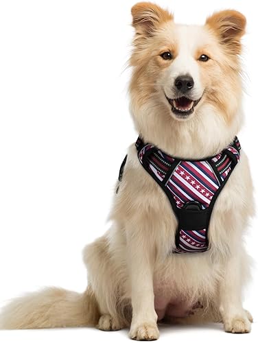 Vista 184 de rabbitgoo - Arnés antitirones para perro grande, con 2 aros para correa, acolchado suave, ajustable, tela Oxford, reflejante, no asfixia, chaleco