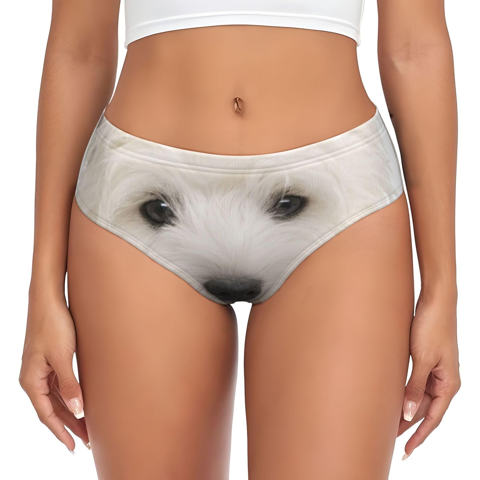 Yofien Women's Multicolour Cute Westie Puppy, Briefs Underwear Support Pouch Comfort Soft Briefs For