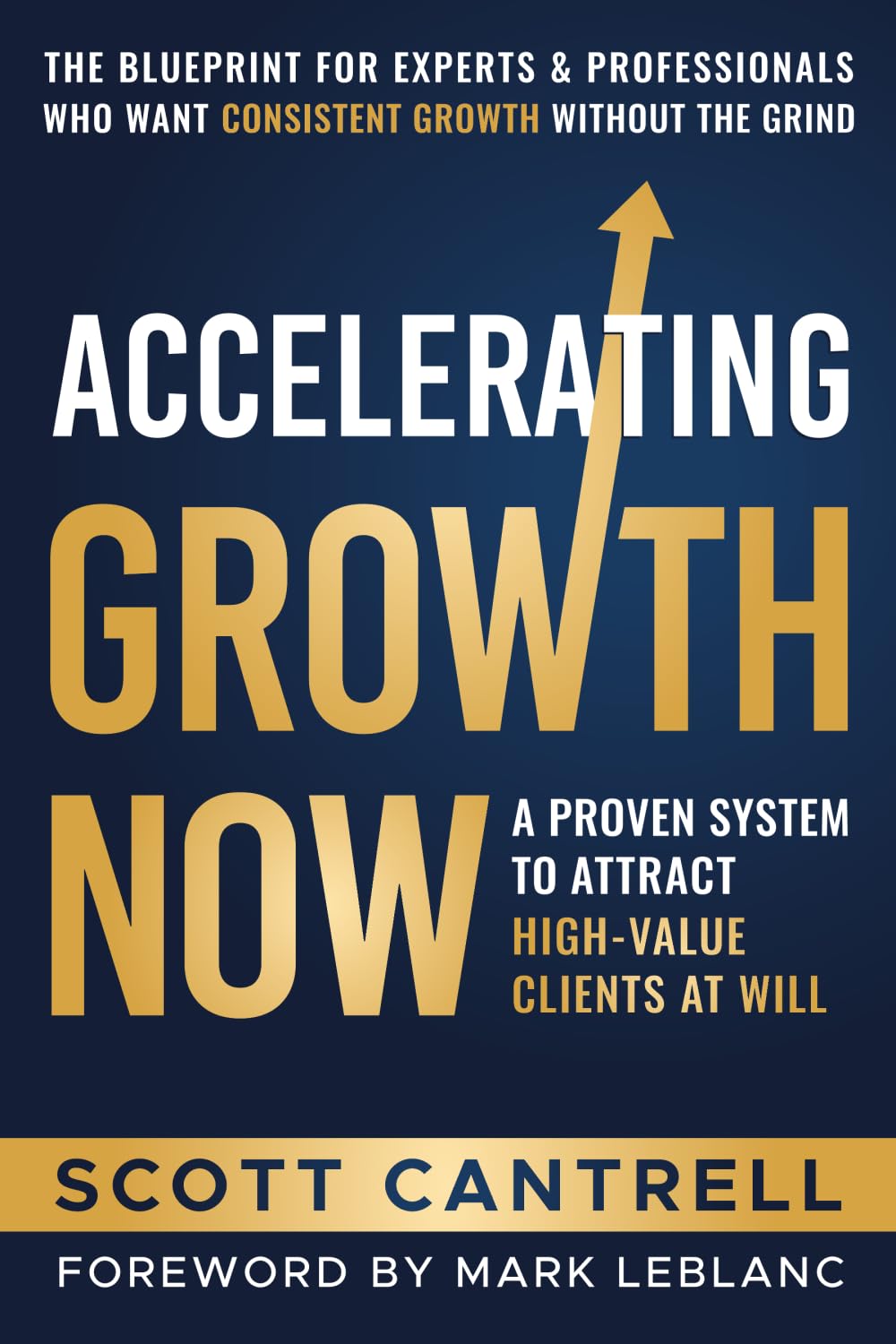Accelerating Growth Now: A Proven System To Attract High-Value Clients At Will