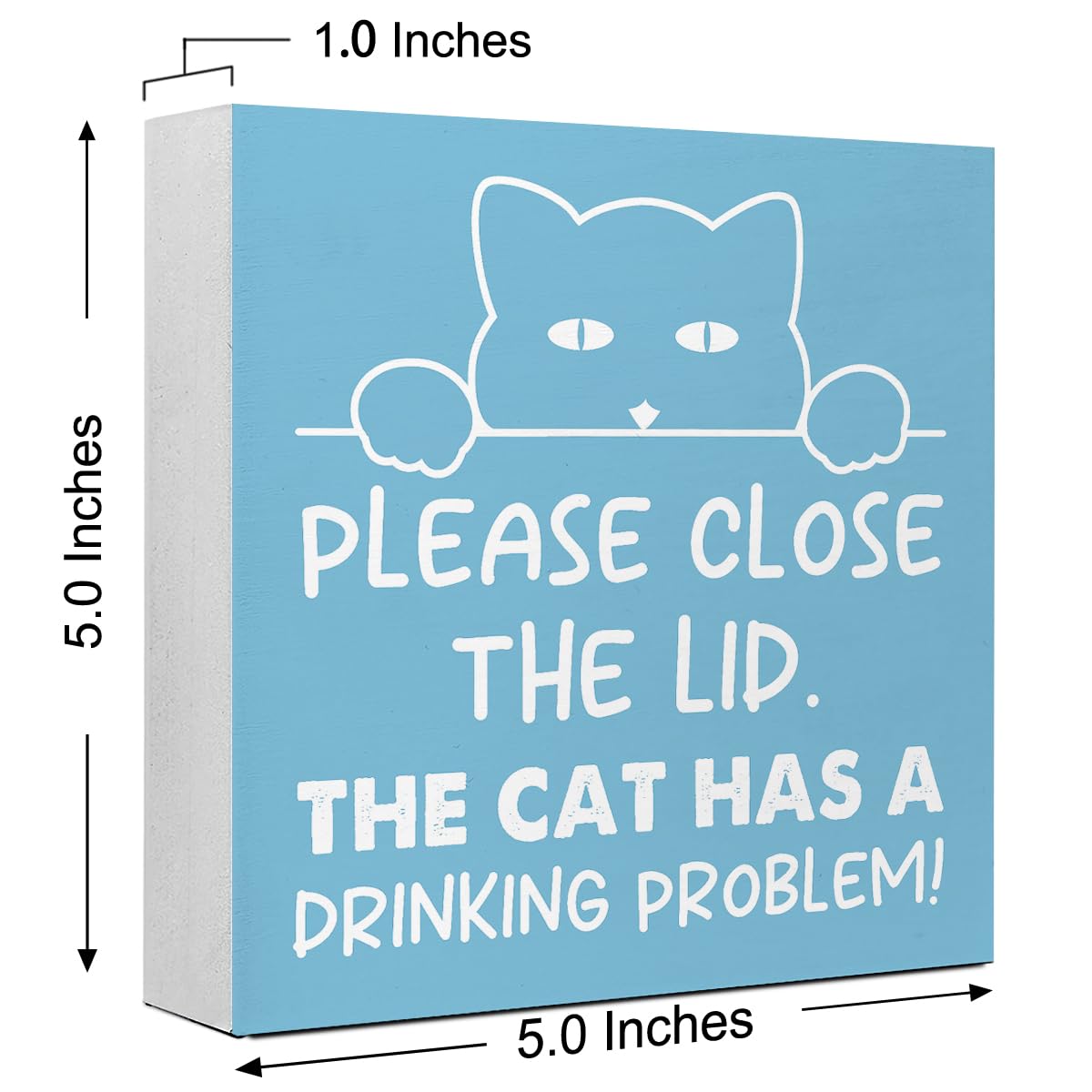 Amazon.com: LVQHI Whimsical Wooden Block Sign With 