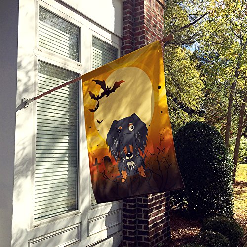 Drapeau de maison Teckel à poils dapple résistant aux intempéries pour décoration Halloween durable - 3