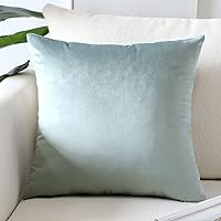 Vista 11 de Artscope Fundas de Almohada de Terciopelo de Lujo Fundas de Almohadas Cuadradas Decorativas Fundas de Cojines Suaves Sólidas para Sofá de Sala Sofá