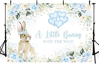 7x5ft Bunny Baby Shower Backdrop for Boy A Lillte Bunny Is on The Way Baby Shower Decorations for Boys Blue Flowers Photography Background Easter Rabbit Baby Shower Banner