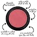 Gabriel Cosmetics Multi Pot (Magnolia - Bronze/Shimmer), 3-in-1 Smooth Finish Formula for Eyes,Lips, and Cheeks. Natural, Paraben Free, Vegan, Gluten-free, Cruelty-free, Non GMO, 0.08 oz.