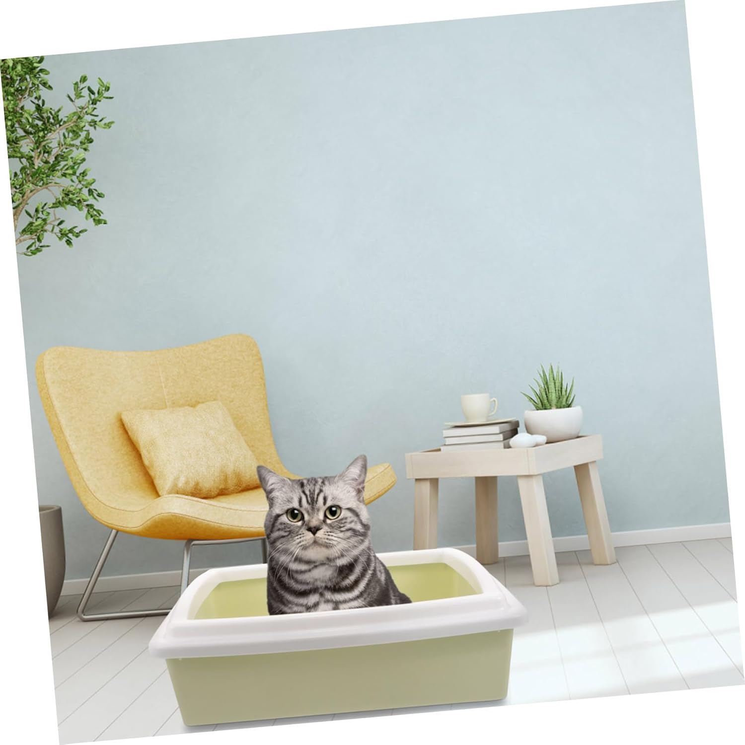 1set Cat Litter Box High Sides Removable Splash Guard for Less Includes Sifting Scoop for Easy Cleaning Portable Kitten Toilet for Indoor Use Design